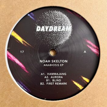 Noah Skelton - Anabiosis EP vinilo