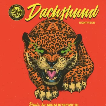 Dachshund - Night Vision (Mihai Popoviciu Remix)