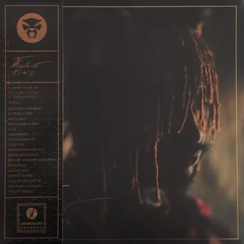 Thundercat - It Is What It Is vinilo